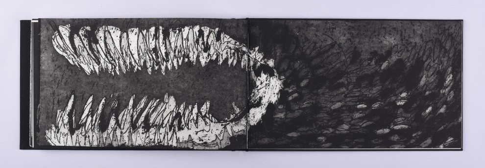 36. Stoorworm, akwaforta, akwatinta, odprysk, 21,5 x 73